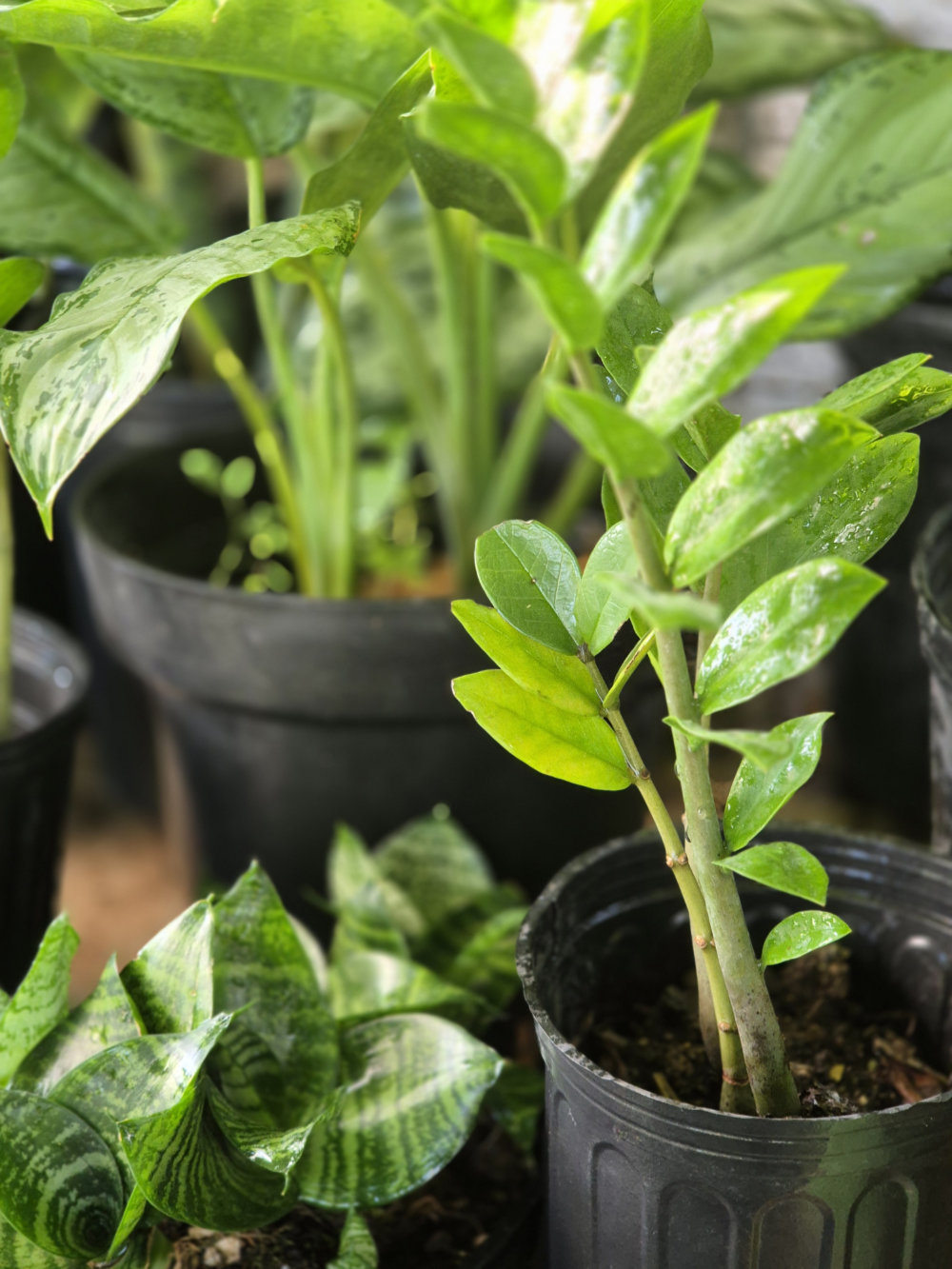 Inside the nursery